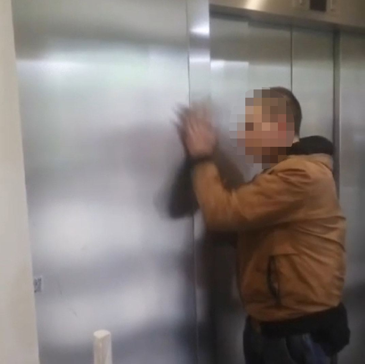 Мамкин художник