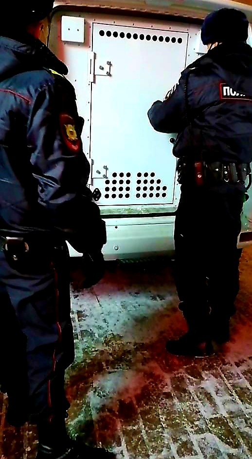 Иноземный друг