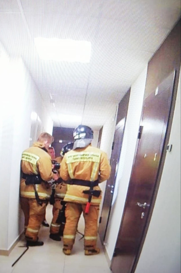 Семейные споры