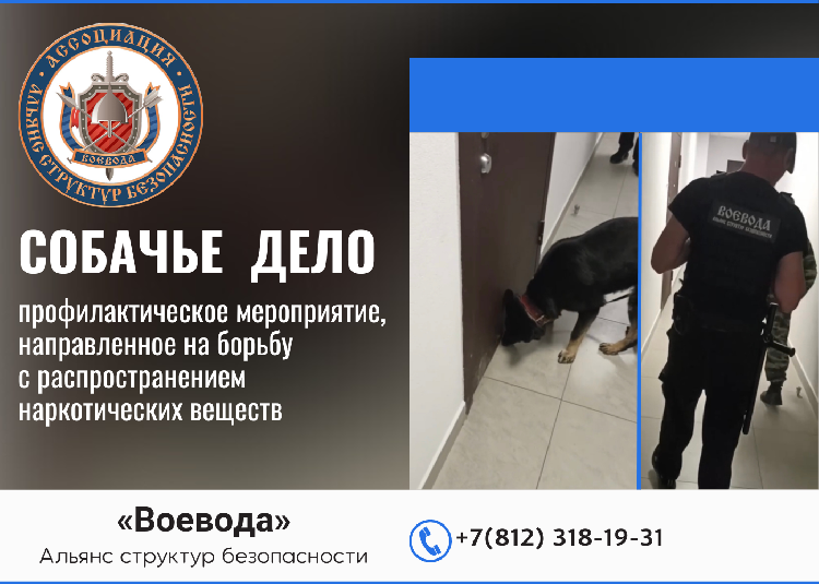 Собачье дело