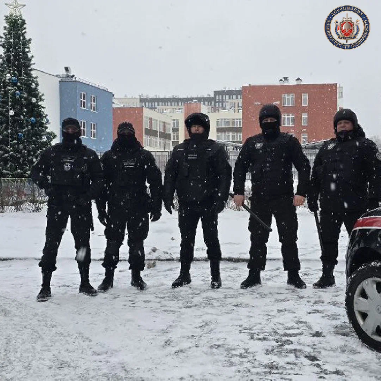 Новогодняя елка в ЖК «Панорама парк Сосновка» Новогодняя елка в ЖК «Панорама парк Сосновка»