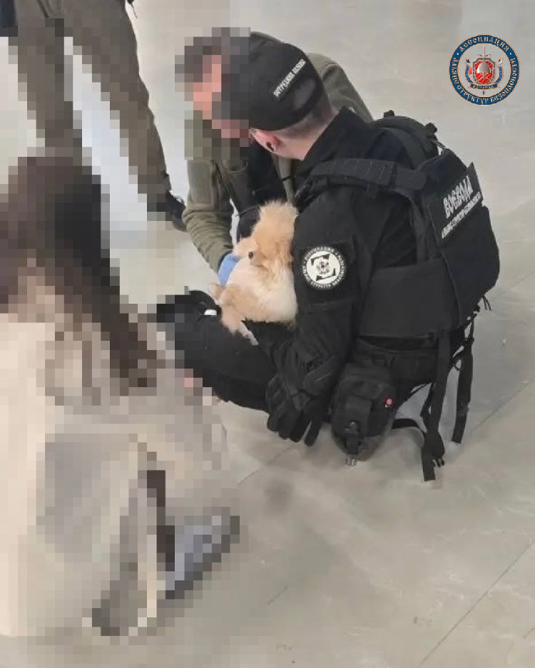 Спасатель рядом