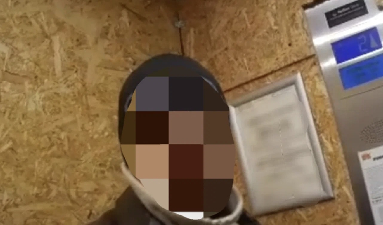 Всё ради *** котиков