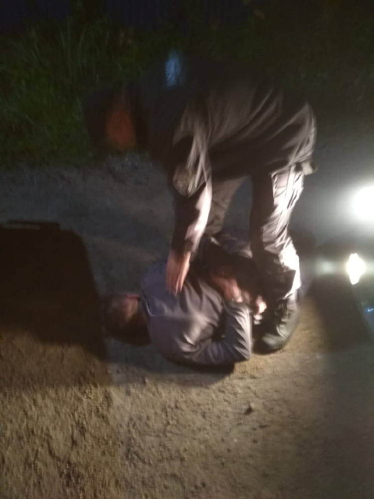 Задержание подозреваемого в садоводстве Задержание подозреваемого в садоводстве