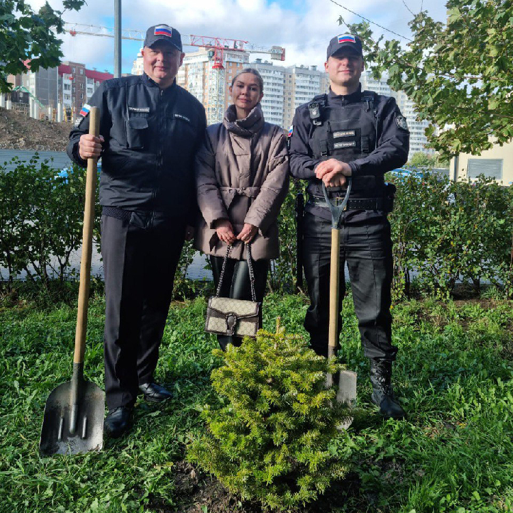 Зелёное сотрудничество